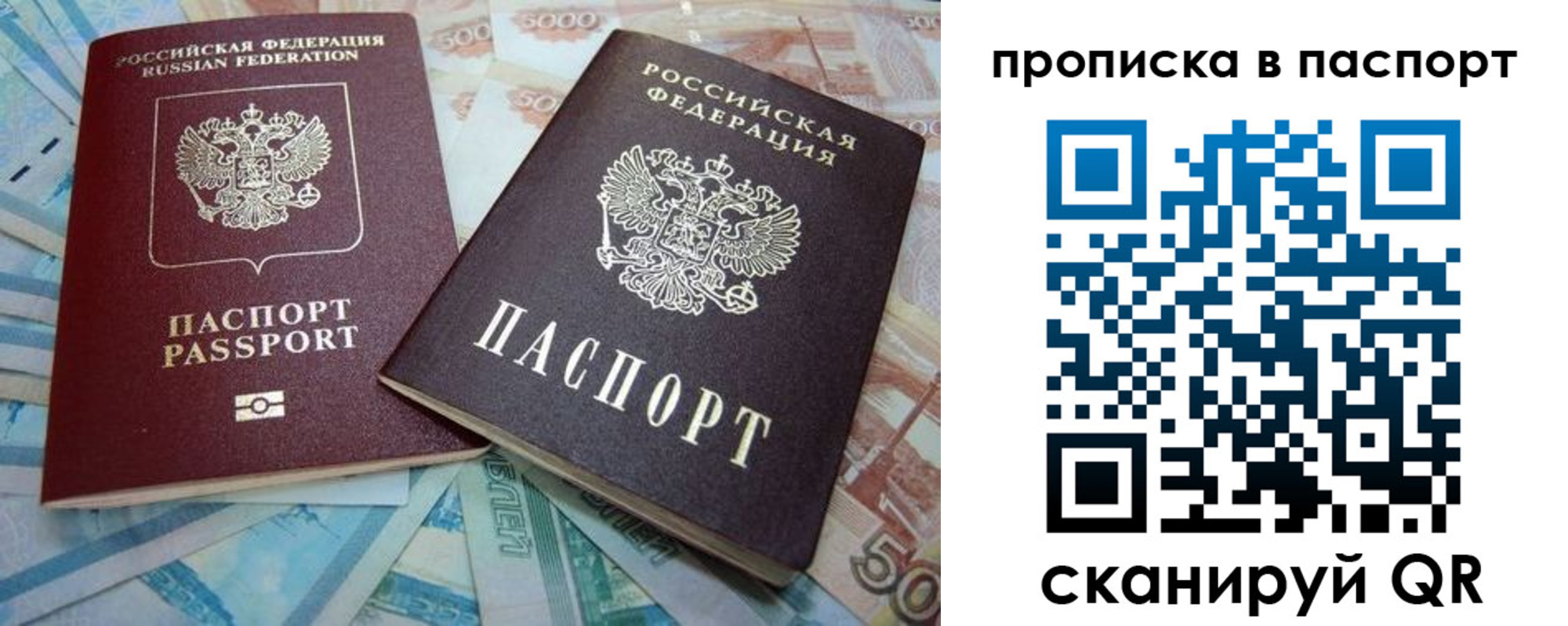 прописка поиск в Долгопрудном